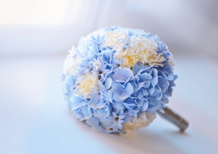 flower-blue-white